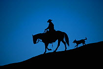 Horse and dog silhouetted at dusk. Bighorn Basin, Wyoming, USA. Model released