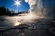 Thermal hot spring at Mud Volcano, Hayden Valley, Yellowstone National Park, Wyoming, USA.