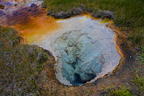 Quagmire Group thermal pools in Porcupine Hills Geyser Basin. Yellowstone National Park, Wyoming, August 2009.