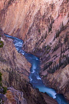 Grand Canyon of the Yellowstone and the Yellowstone River. Yellowstone National Park, Wyoming, USA, August 2009.