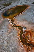Thermal pools and hot springs along White Creek in the Lower Geyser Basin area of Yellowstone National Park, Wyoming. June 2010.