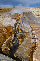 Fortress Geyser in the Firehole River Group. Lower Geyser Basin, Yellowstone National Park, Wyoming, September 2010.