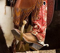 Close up of boot and spurs of Cowboy riding domestic horse,  Sombrero Ranch, Colorado, USA, May 2010, model released