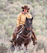 Female cowboy riding domestic horse through scrub,  Sombrero Ranch, Colorado, USA, May 2010, model released