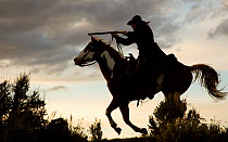 Silhouette of cowboy riding on horse holding gun, galloping,  Sombrero Ranch, Colorado, USA, May 2010, model released