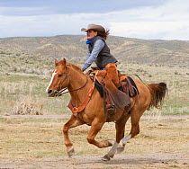 Female cowboy galloping on horse, Sombrero Ranch, Colorado, USA, May 2010, model released