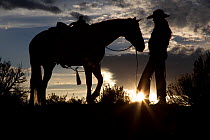 Silhouette of female cowboy and horse at sunset,  Sombrero Ranch, Colorado, USA, May 2010, model released