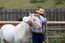Young male cremello Wild horse / mustang Claro that had been rounded up from a McCullough Peak herd and put up for adoption, with trainer Rich Scott, learning to be handled, July 2010, model released