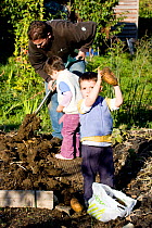 Children and father harvesting potatoes in Horfield community orchard / allotments, run by and with local people as a food source and a source of regeneration within inner city Bristol. UK. MRDELETE