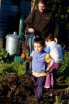 Children and father harvesting potatoes in Horfield community orchar  / allotments run by and with local people as a food source and a source of regeneration within inner city Bristol. UK. MRDELETE