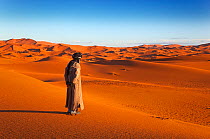 A person looking out onto the Erg Chebbi Dunes. Sahara Desert, Morocco, North Africa, March 2011.