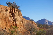 Sandstone cliffs in the Sonoran desert. Arizona, March 2011.