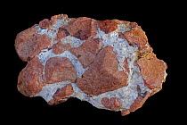 Willemite, an ore of zinc. Sample from Sterling Hill, Ogdensburg, New Jersey, USA.