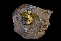 Chalcopyrite (CuFeS2, copper iron sulphide) (Golden variety), and galena on calcite. The major ore of copper, of high economic importance. Sample from Santa Eulalia, Mexico.