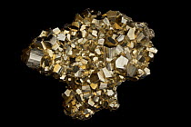 Pyrite (FeS2, iron sulfide), known as 'Fool's Gold'. Formerly used in the production of sulfuric acid. Sample from Concepcion de Oro, Zacatecas State, Mexico.
