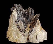 Hubnerite (formery called wolframite, a major tungsten ore) and Quartz. Sample from Pasto Bueno, Peru.