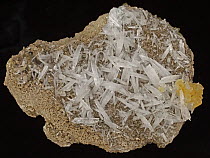 Celestite containing strontium sulfate (SrSO4), an ore of strontium. Sample from Clay Center, Ohio, USA.