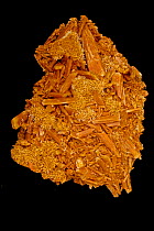 Selenite (CaSO4-2H2O) (Hydrous calcium sulfate), a form of gypsum. Sample from Mt. Gunson, Australia. Formed in evaporite deposits.