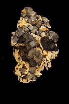 Galena (PbS, lead sulfide), the primary ore of lead; and spalerite (black), an ore of zinc. Sample from Tri State District, Joplin Missouri, USA.
