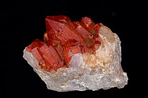 Red Quartz (SiO2). Sample from Orange River, South Africa.
