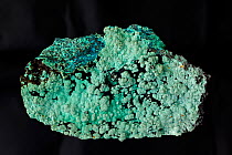 Chrysocolla (hydrated copper silicate), a minor ore of copper. Sample from Arizona, USA.