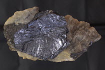Molybdenite (MoS2), mined for molybdenum bisulfide, (a lubricant) and molybdenum. Sample from Queensland Australia, Wolfram Camp Mine, Dimbulah, Mareeba Shire.