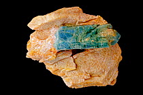 Apatite (Ca5(PO4)3F, fluorapatite), used in the production of phosphate fertilizers and the production of salts of phosphoric acid and phosporous, a common mineral. Sample from Slyudyanka, Baikal regi...
