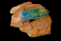 Apatite (Ca5(PO4)3F, fluorapatite), used in the production of phosphate fertilizers and the production of salts of phosphoric acid and phosporous, a common mineral. Sample from Slyudyanka, Baikal regi...