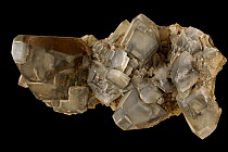 Calcite (Ca CO3, calcium carbonate), one of the most common and variable minerals on earth, used in building, metallugy, fertilizers, chemical industry, with pyrite and marcasite. Sample from Conco Mi...