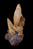 Calcite, (CaCO3, calcium carbonate), one of the most common and variable minerals on earth, used in building, metallugy, fertilizers, chemical industry. Sample from Sweetwater mine, Viburnum trend, Mi...