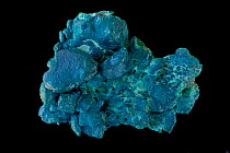 Chrysocolla (hydrous copper silicate) an ore of copper. Sample from Congo.