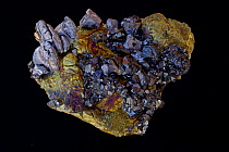 Chalcopyrite, Galena, Spalerite and Pyrite. Sample from Borieva Mine, Madan, Bulgaria.