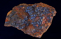 Hematite, the main ore of iron. Sample from Luna County, New Mexico.