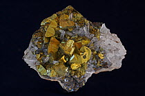 Chalcopyrite (CuFeS2, copper iron sulfide), a very important economic ore (Golden variety). Sample from Peru.