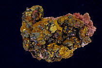 Chalcopyrite (CuFeS2, copper iron sulfide) (Golden variety), a major ore of copper. Sample from China.