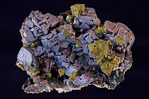 Galena (the main ore of lead) and Chalcopyrite (ore of copper). Sample from Giudiurska mine, Zlatograd, Bulgaria, .