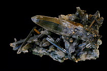 Quartz with Chlorite Inclusion (SiO2, silicon dioxide), the most common mineral on Earth with many industrial uses. Sample from Ganesh Mountain, Nepal.