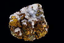 Chalcopyrite (CuFeS2) (Golden variety), the major ore of copper. Sample from Herja, near Baia Mare, Romania.