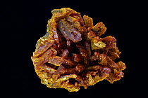 Orpiment, an ore of arsenic. Sample from Shimen Mine, Hunan, China.