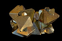 Pyrite (FeS2, Iron sulfide), popularly known as 'fool's gold'. Formerly used in the production of sulfuric acid. Sample from Peru.
