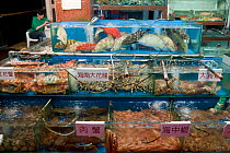 Live reef fish in tanks beside seafood restaurant, Lei Yue Mun harbour, Hong Kong, China, April 2009. .