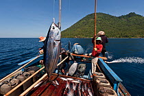 Funae fishermen catching Skipjack tuna near Manado Tua using anchovies as live bait. Indonesia, October 2009.