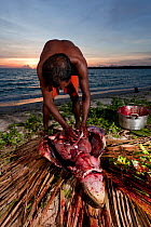 Moluccan man slaughters a freshly caught Green turtle (Chelonia mydas) Moluccas Islands, Indonesia, November 2009.