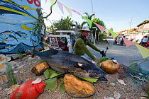 Tone-Toneladang Tuna festival, Mamburao, Philippines, March 2010. Thirty tuna floats and dancers parade throughout the township of Mamburao celebrating the tuna catch following EU export standards.