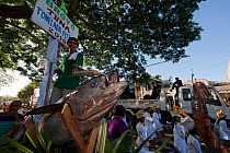 Tone-Toneladang Tuna festival, Mamburao, Philippines, March 2010. Thirty tuna floats and dancers parade throughout the township of Mamburao celebrating the tuna catch following EU export standards.