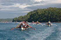 Outrigger boats parading at the Butanding Whale Shark Festival, Donsol, Philippines, April 2010.