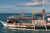 Outrigger boat at the Butanding Whale Shark Festival, Donsol, Philippines, April 2010.