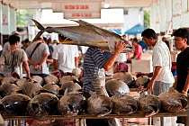 Dock worker carries tuna through the fish landing and processing area, Sarangani, Philippines, April 2010   . NOT AVAILABLE FOR MAGAZINE USE IN GERMAN-SPEAKING COUNTRIES UNTIL 1ST JULY 2013.