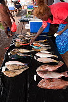 Fish for sale in street market, Gizo, capital of the Western Province, Solomon Islands, Melanesia, July 2010.