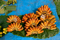 Banana fruits for sale at public market, Gizo, capital of the Western Province, Solomon Islands, Melanesia, July 2010.